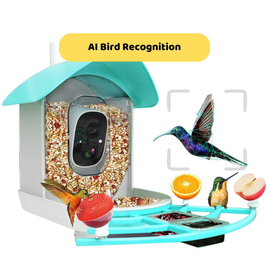 BirdWatcher Feeder